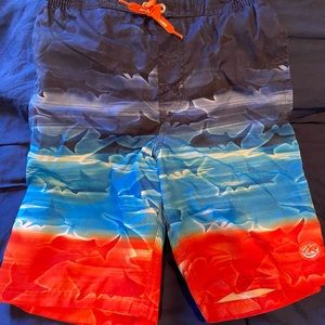 Shark swim trunks